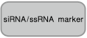 shRNA表达载体pBAsi vector series