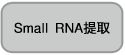 Small RNA克隆Small RNA Cloning Kit