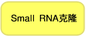 Small RNA克隆Small RNA Cloning Kit