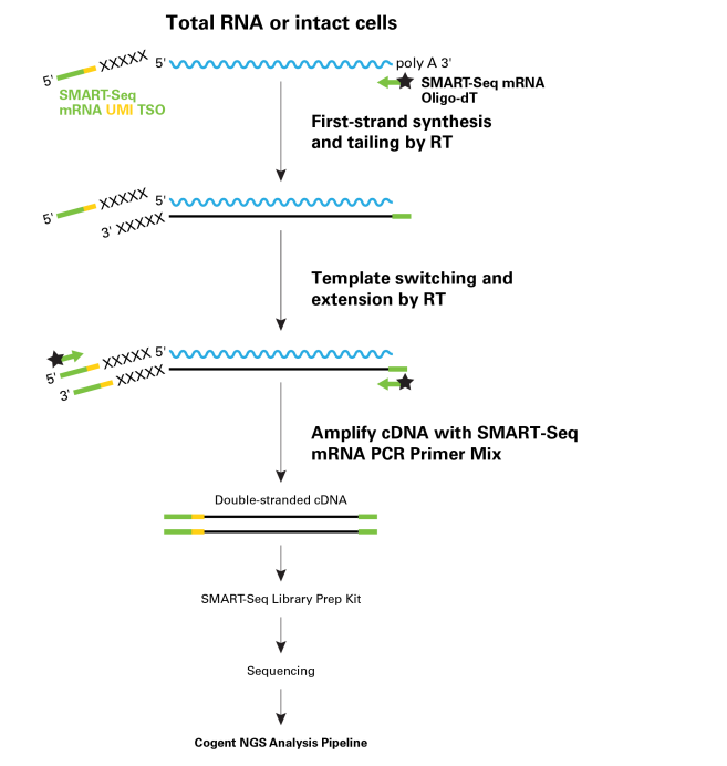 文库构建试剂盒SMART-Seq mRNA LP (with UMIs)