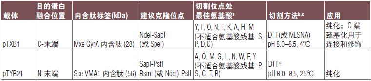 pTXB1 载体                               #N6707S 10 μg