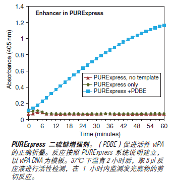 PURExpress® 体外蛋白合成试剂盒                               #E6800L 100 次反应