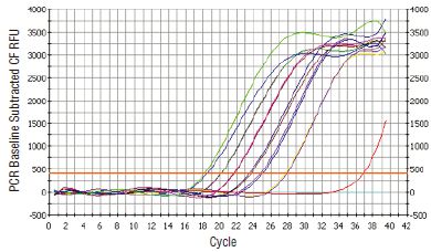 mRNA 磁性分离试剂盒                               #S1550S 25 次分离反应