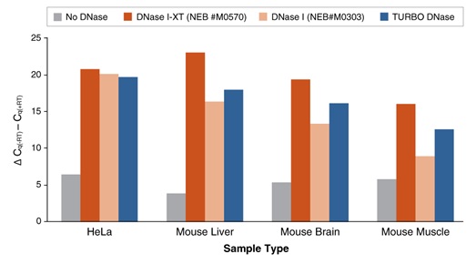 DNase I-XT（耐盐）                                  #M0570L 5,000 units