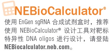 EnGen® sgRNA 合成试剂盒，S. pyogenes                               #E3322S 20 rxns