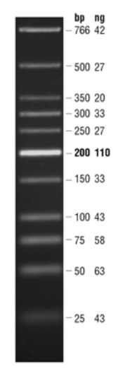 Quick-Load 紫色 低分子量 DNA Ladder                               #N0557S 125 gel lanes