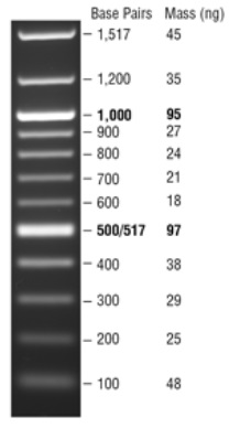 Quick-Load 紫色 100 bp DNA Ladder                               #N0551L 375 gel lanes