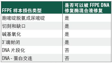 NEBNext FFPE DNA 修复混合液                               #M6630L 96 次反应