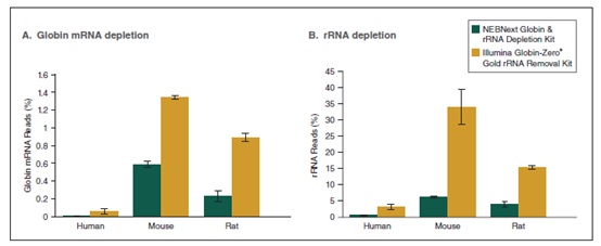 NEBNext Globin & rRNA 去除试剂盒（人/小鼠/大鼠）- 含 RNA 纯化磁珠                               #E7755L 24 次反应