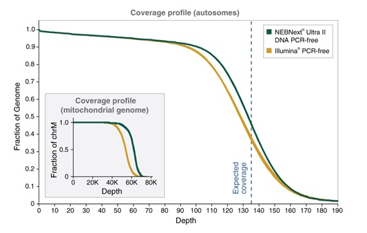 NEBNext® Ultra™ II DNA PCR-Free 文库制备试剂盒                               #E7410L 96 次反应