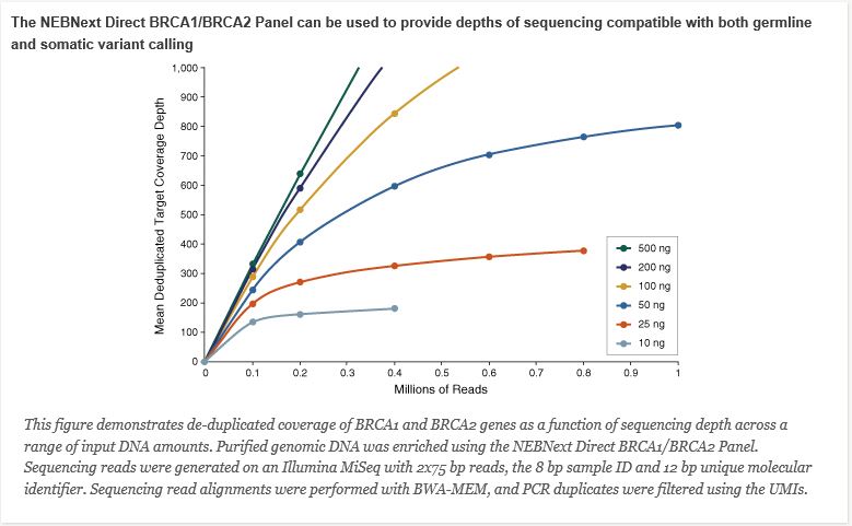 NEBNext Direct® BRCA1/BRCA2 Panel                               #E6627L 24 reactions