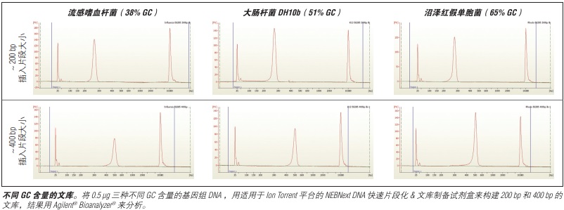 NEBNext DNA 快速文库制备试剂盒 - Ion Torrent                               #E6270L 50 次反应