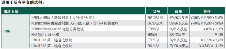 NEBNext Ultra II RNA 第二链合成模块                               #E6111L 100 次反应