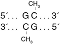 GpC 甲基转移酶 (M.CviPI)                                   #M0227L 1,000 units