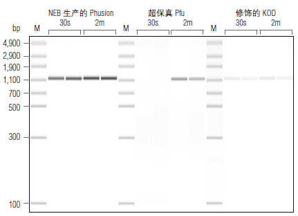 Phusion® 热启动 Flex 2X 预混液                                     #M0536L 500 次反应 (50 μl 反应体系)