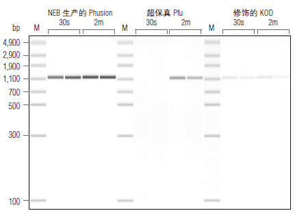 Phusion® 热启动 Flex DNA 聚合酶                                     #M0535L 500 units