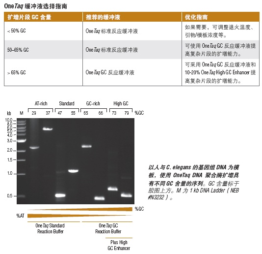 OneTaq® Quick-Load® 2X 预混液（提供标准缓冲液）                                    #M0486L 500次反应 (50 μl 反应体系)