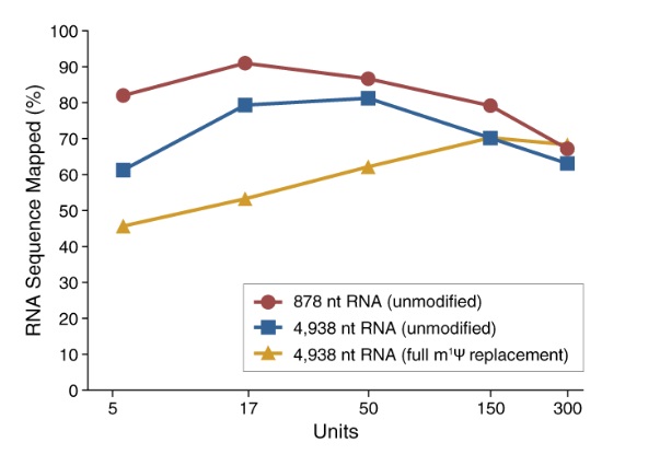 RNase 4                               #M1284L 12,500 units