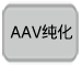 可制备高滴度AAV的无辅助病毒系统AAVpro&reg; Helper Free System