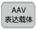 可制备高滴度AAV的无辅助病毒系统AAVpro&reg; Helper Free System