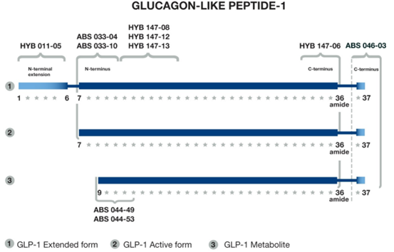 胰高血糖素样肽-1(GLP-1)抗体——BioPorto热销产品推荐