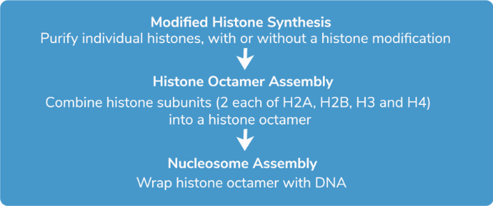 如何选择核小体(nucleosomes)?