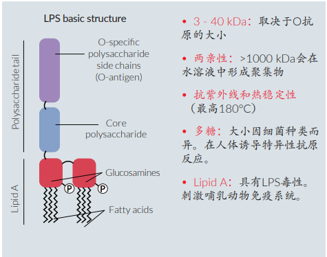 什么是内毒素污染？生物试剂内毒素如何检测？