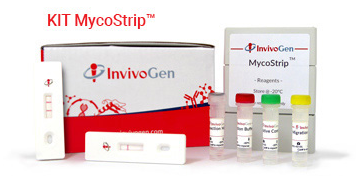 MycoStrip™—细胞支原体污染检测原来可以这么简单