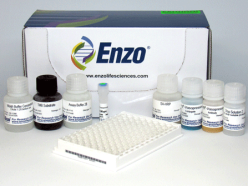 ENZO热销产品——Arg8-Vasopressin ELISA kit