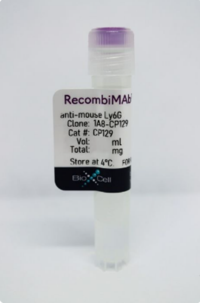 BioXCell热销产品--RecombiMAb anti-mouse Ly6G