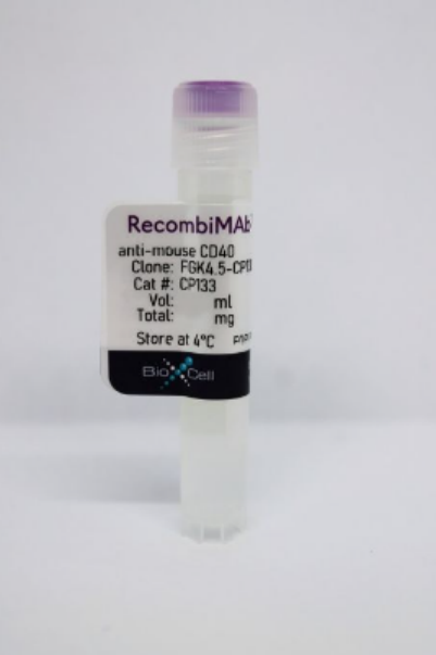 BioXCell热销产品--RecombiMAb anti-mouse CD40