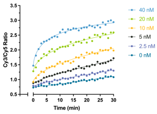 Epicypher热销产品——SMARCA2 Chromatin Remodeling Enzyme (Human BRM)