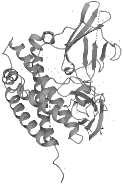 新品推荐｜Human Growth Hormone ELISA试剂盒