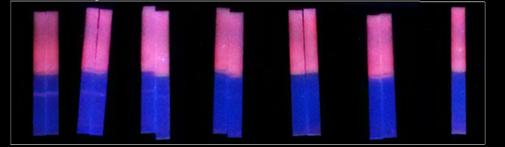 Europium Conjugation Kit 铕微粒偶联试剂盒