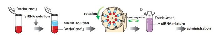 AteloGene®  体内siRNA转染试剂盒