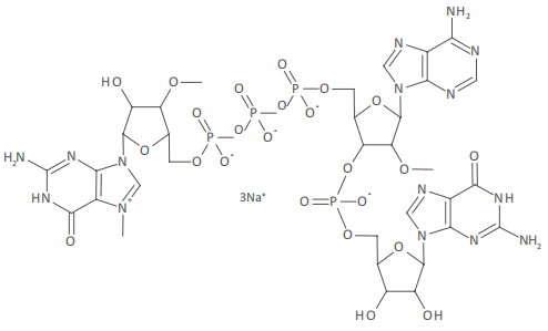 CleanCap® Reagent AG (3' OMe) - (N-7413),用于mRNA共转录加帽