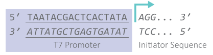 CleanCap® Reagent AG - (N-7113)