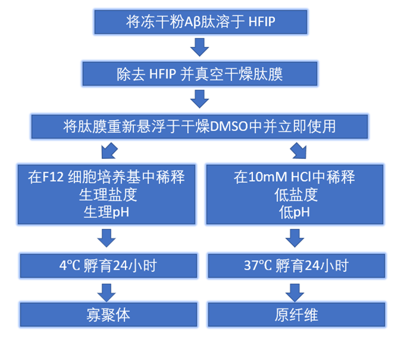 Stressmarq推出新产品----β-淀粉样肽1-42相关产品