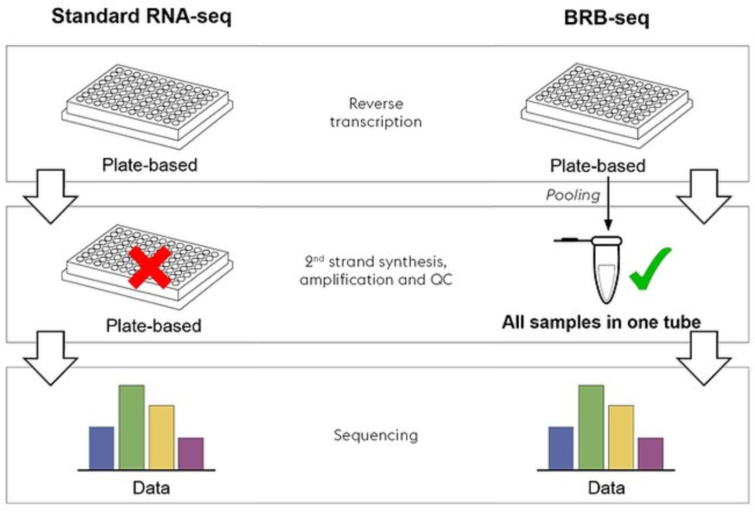 Alithea Genomics新品介绍—High Throughput RNA Sequencing Kits