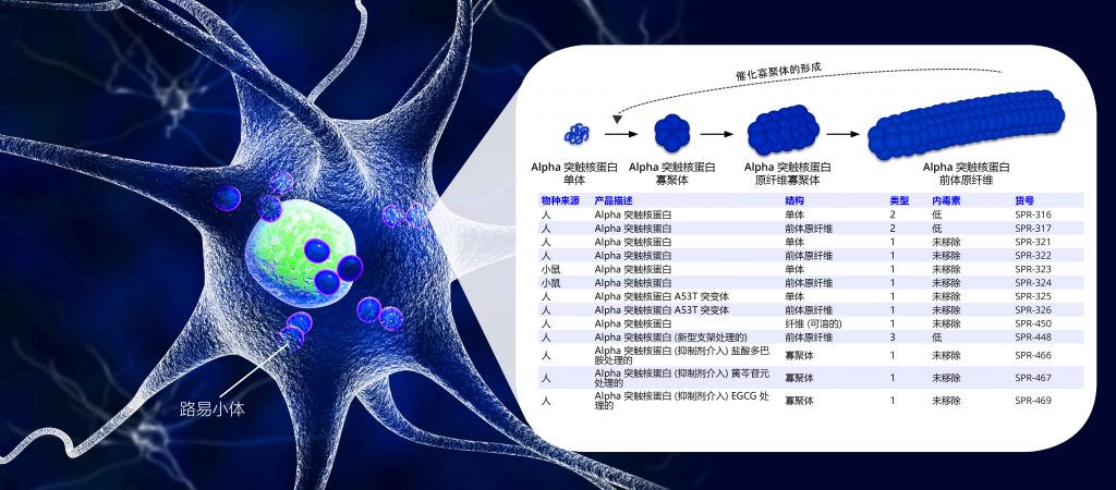 新品活性 Alpha突触核蛋白原纤维和单体