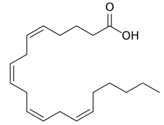 Cayman产品推荐—Arachidonic Acid热销产品  